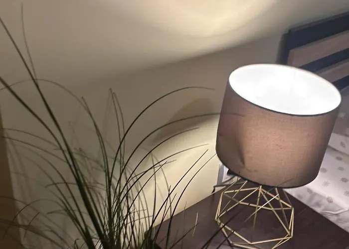 Cosy 11mins Center 公寓 普罗夫迪夫