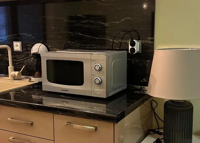 Cosy 11mins Center 公寓 普罗夫迪夫